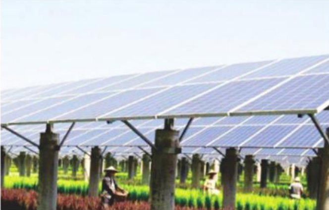 Agrivoltaic structure over crops