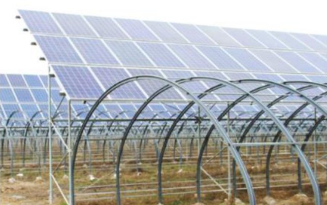 Greenhouse PV